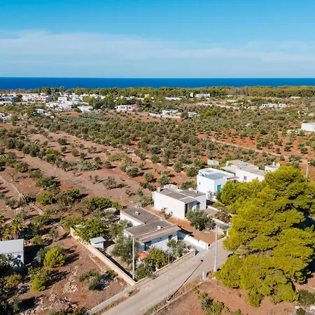 E Tu Bertu - Gallipoli